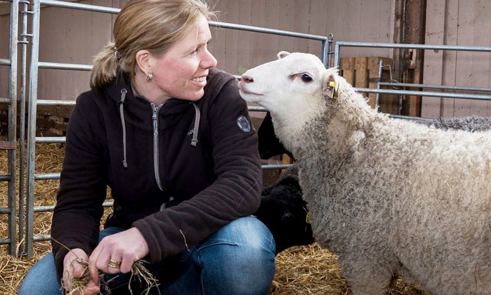 Jenny gosar lite med en av de 40 tackor med lamm som de också har på sin gård.