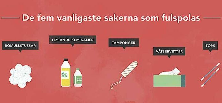 Fulspola är ett påhittat ord som betyder att spola ner saker i toaletten som inte hör hemma där.