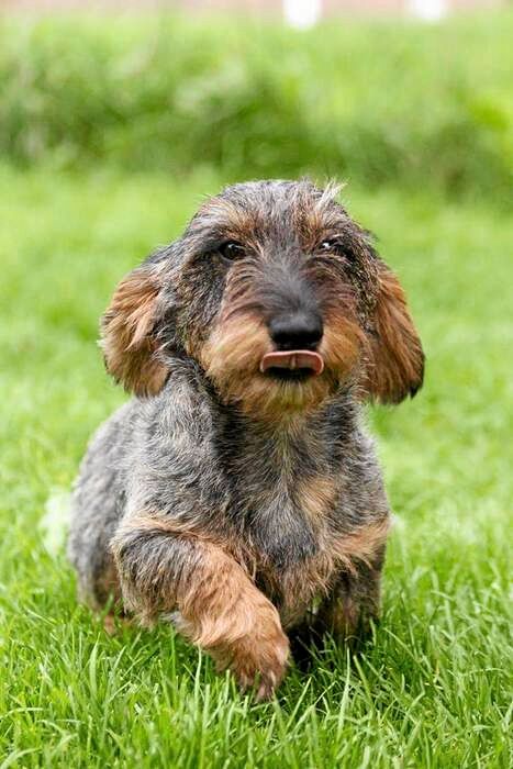 Vinnare 2: Charina Pettersson