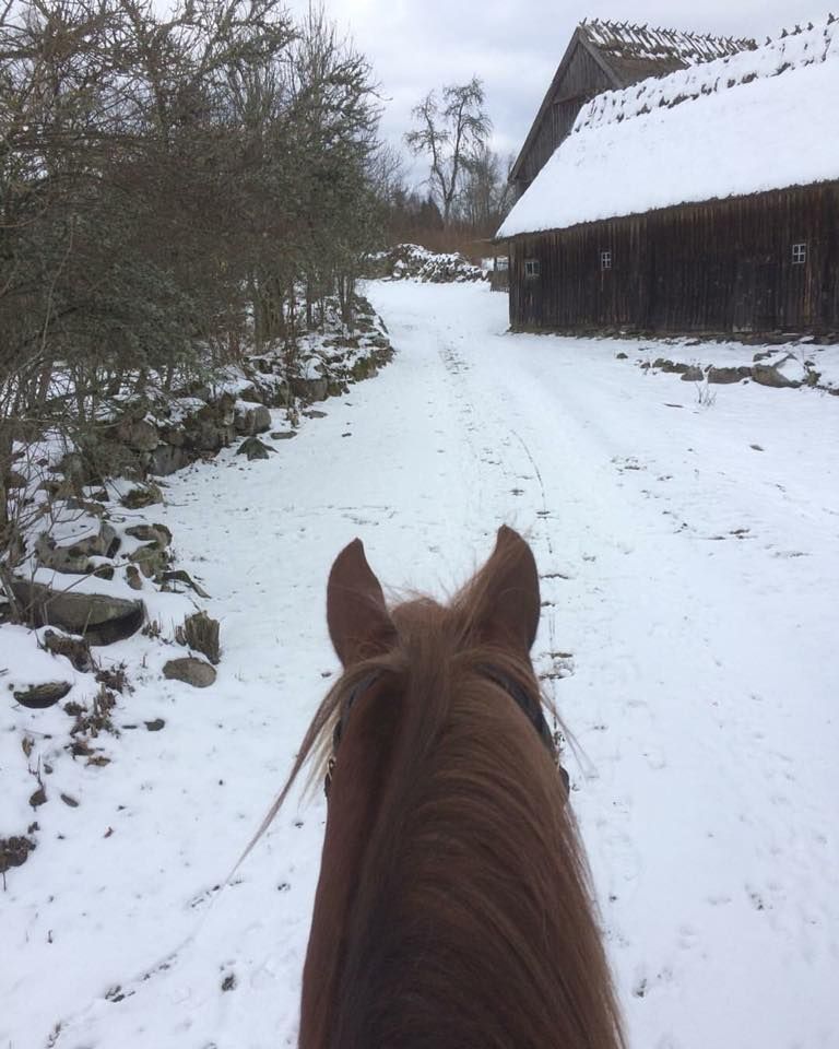 På hästryggen kan man definitivt njuta av vintern, menar Hanna Lindahl.