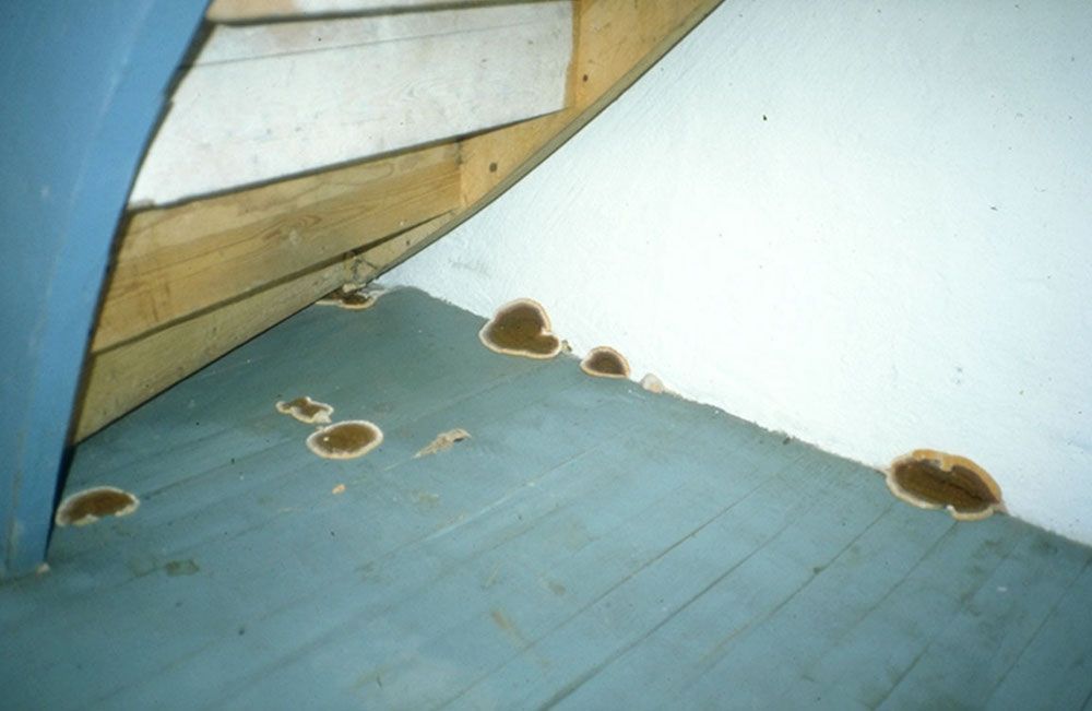 Bildkälla: Anticimex.