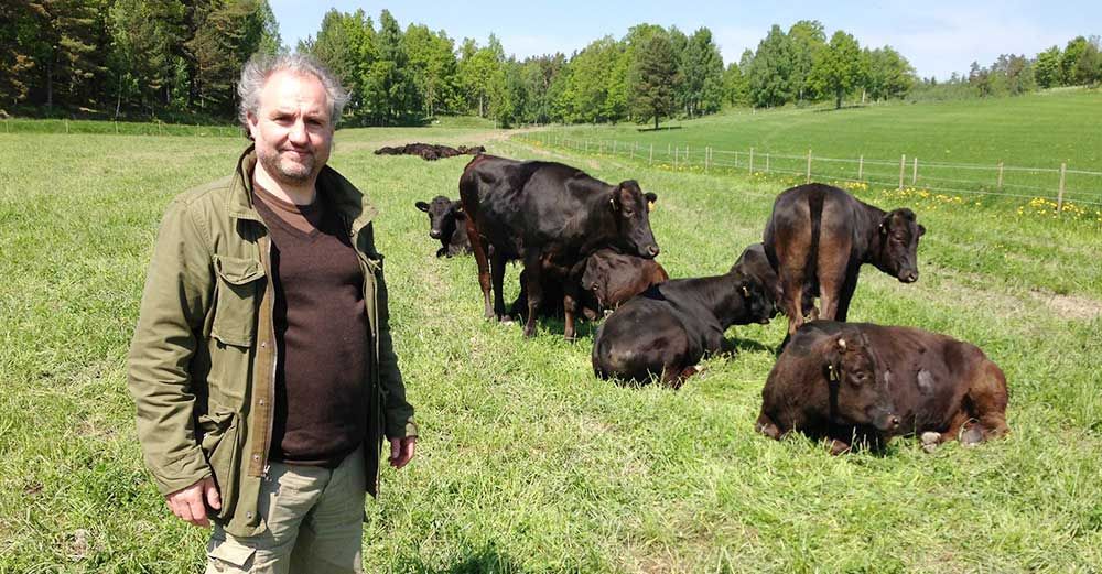 Yves-Marie le Bourdonnec är Frankrikes mest kända slaktare. Han slängdes ut ur franska slaktarförbundet efter ett uttalande om att engelsk biff var bättre än fransk.