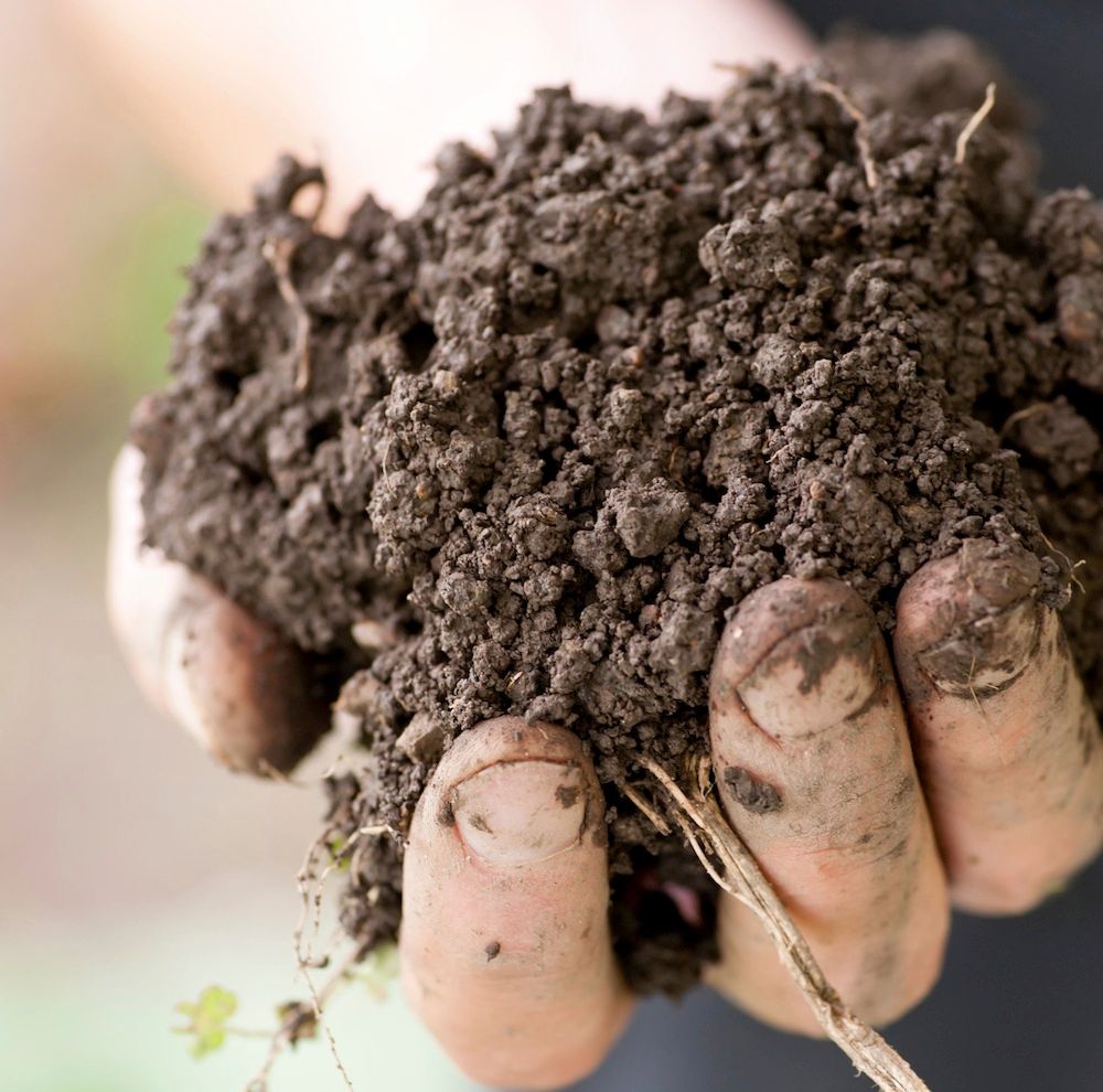 Närbild på jord i hand.