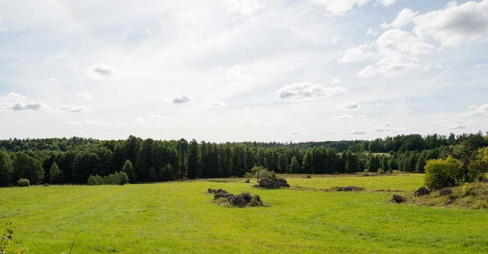 Öppen åkermark och trädgårdstomt med stort antal fruktträd.