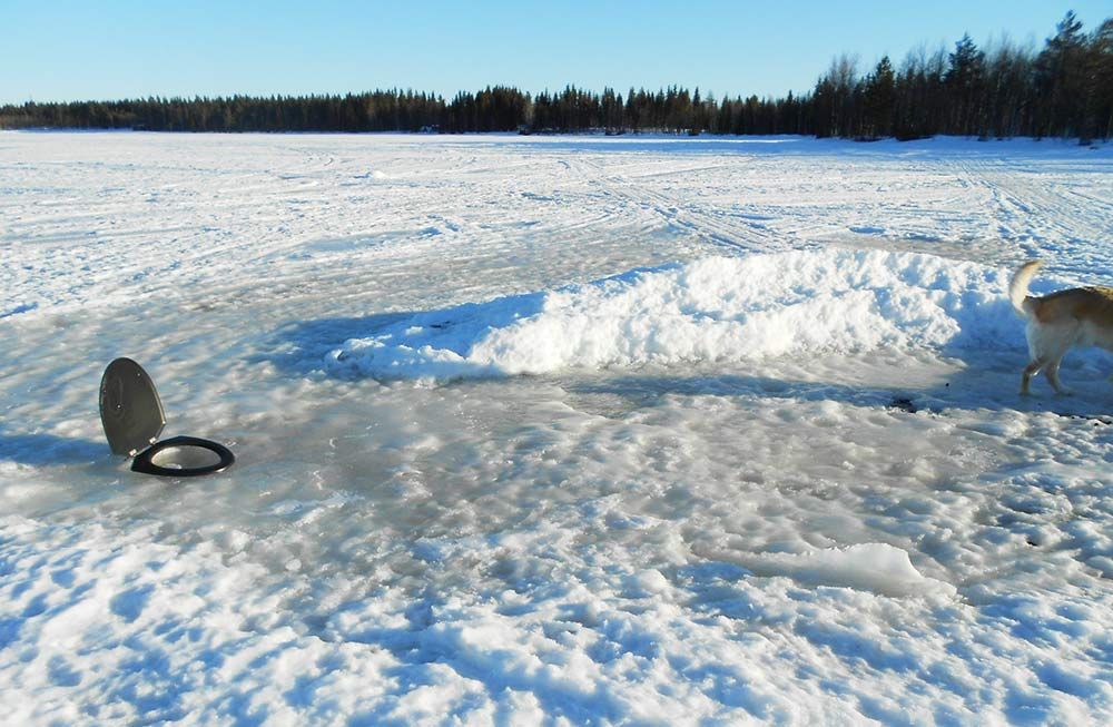 I väntan på nästa köldknäpp. Foto: Jari Rekonius