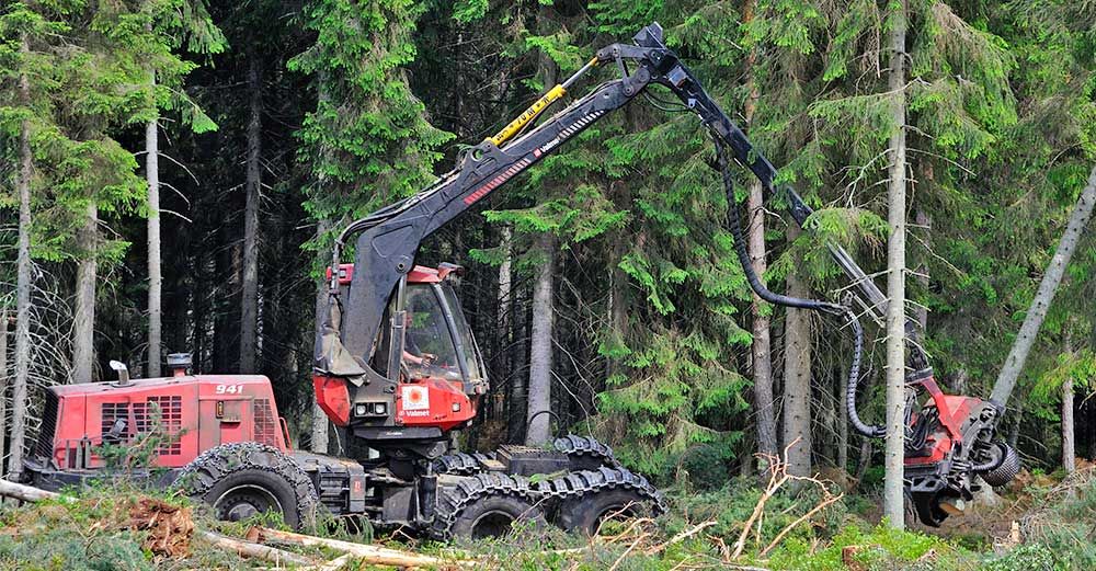 Slutavverkning på gång, förarna finns det för få av.