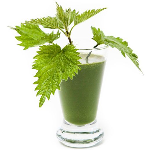 Ett shotglas med grön dryck och en nedstucken nässla.