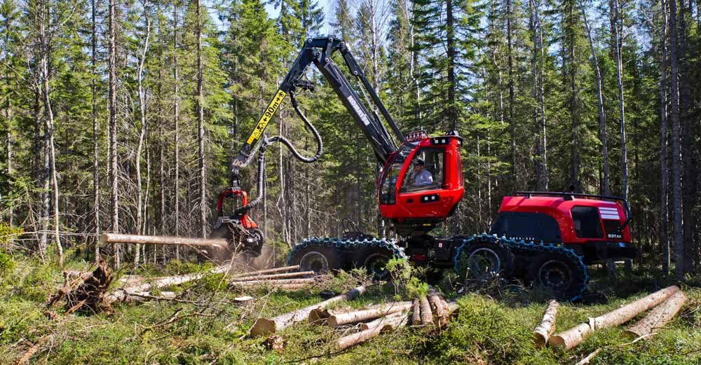 Skogsmaskinförare är ett bristyrke inom skogsbranschen, enligt Arbetsförmedlingens prognoser. Foto: Rolf Segerstedt.