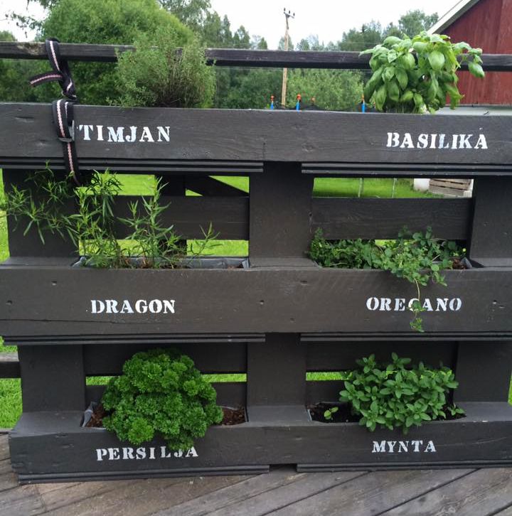 Foto: Jessica Axelsson