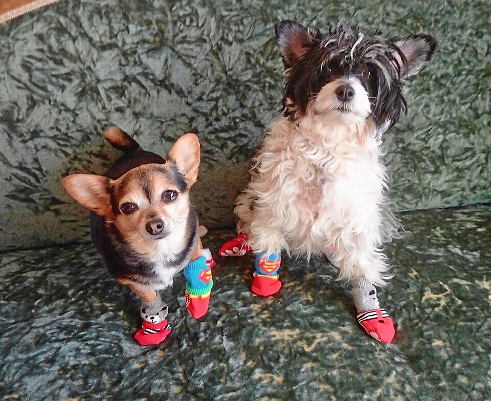 Vinnare 3: Sanna Spånglund