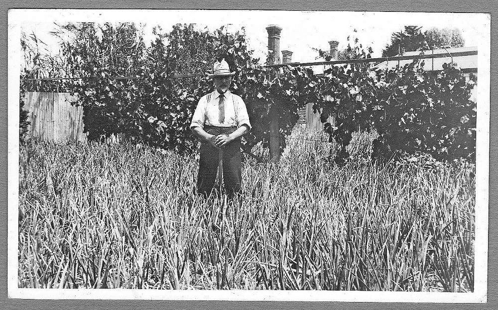 Blev odlare. Julius vid sina grönsaksodlingar i Hope Valley i Australien.
