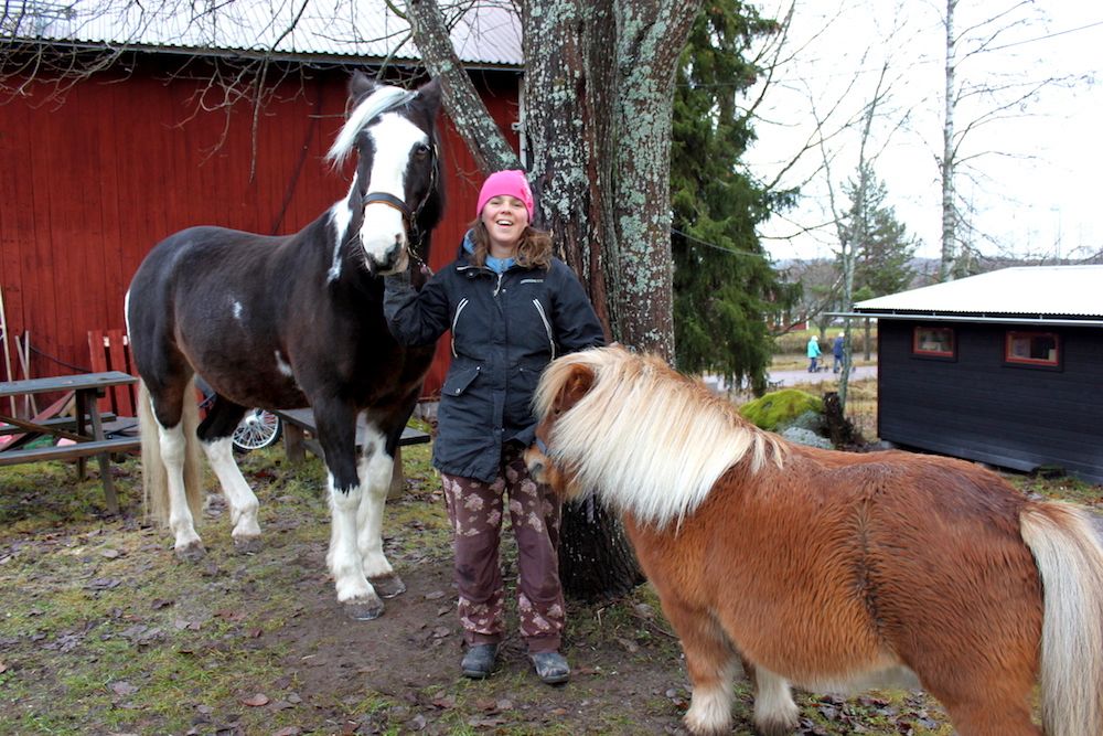 Älskar hästar. Lisa med tinkerhästen Maggie, 20 år och shettisen Pirat, 9 år