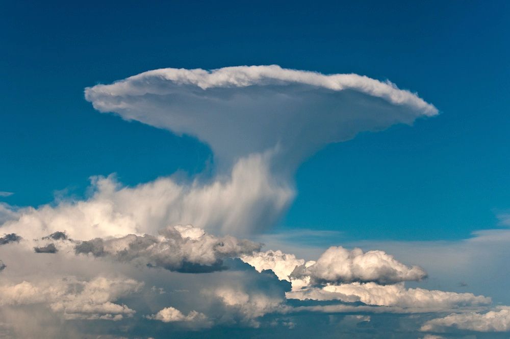 Moln som ser ut som en svamp.