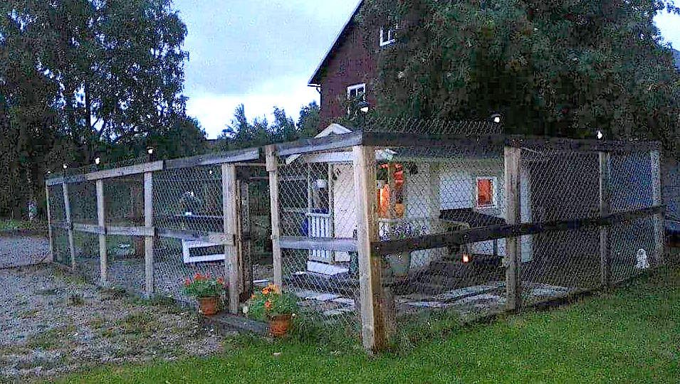 Den inhägnade hundkojan/lekstugan utifrån i kvällsljus. Nu byggs inhägnaden ut till över 80 kvm.