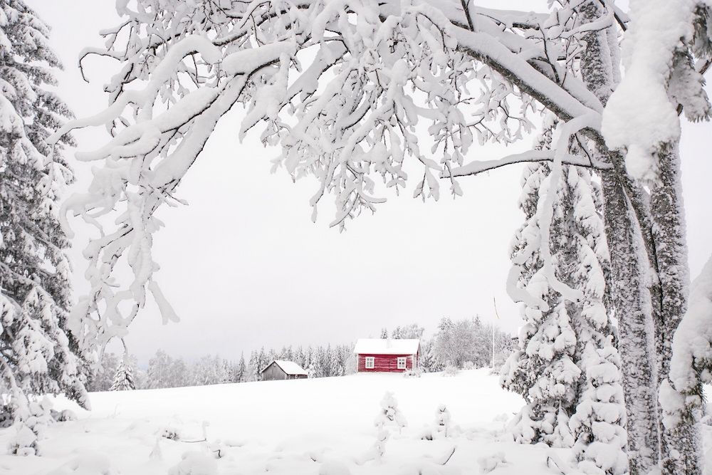 Naturen i vit vinterskrud är hennes favoritobjekt. Gärna med ett rött trähus som kontrast.
