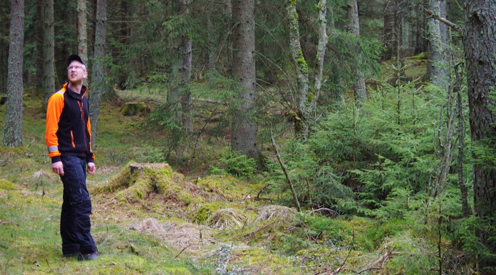 Jonas älskar att vandra omkring i sin skog.