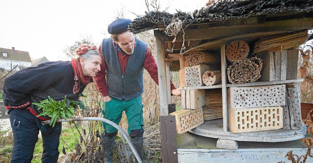 Marie och Gustav kollar om det flyttat in några bin eller steklar i insektshotellet.