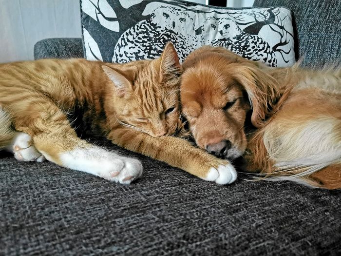 Vinnare 4: Petra Gradin