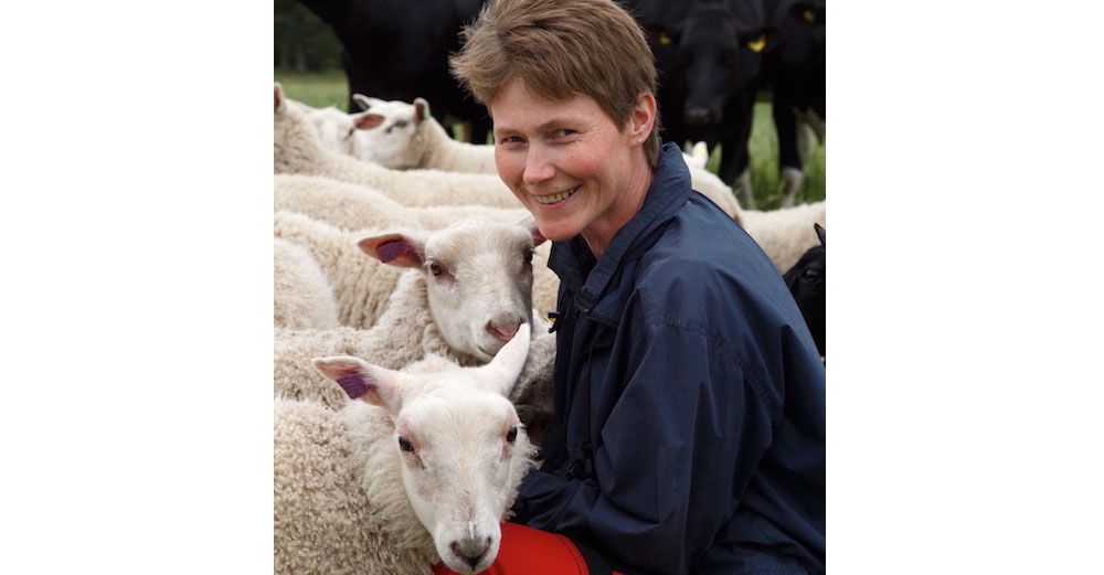 Ingeli med med sina fina får av raserna är finull och texel.