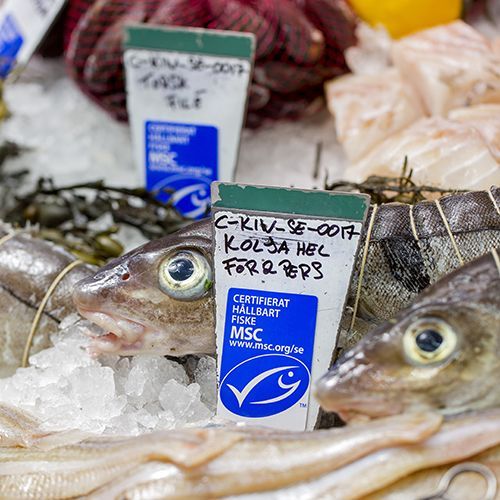 Håll utkik efter den blåa MSC-märkningen i butiken.