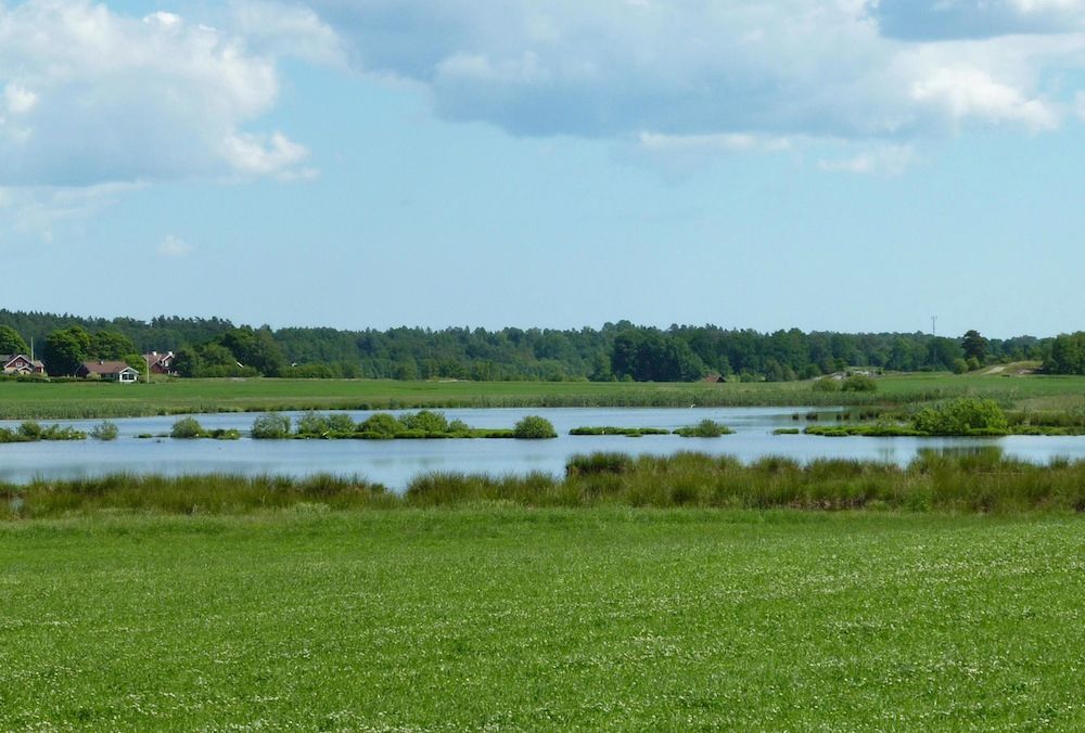 Sugen på att anlägga en våtmark? Foto: SÖREN ERIKSSON