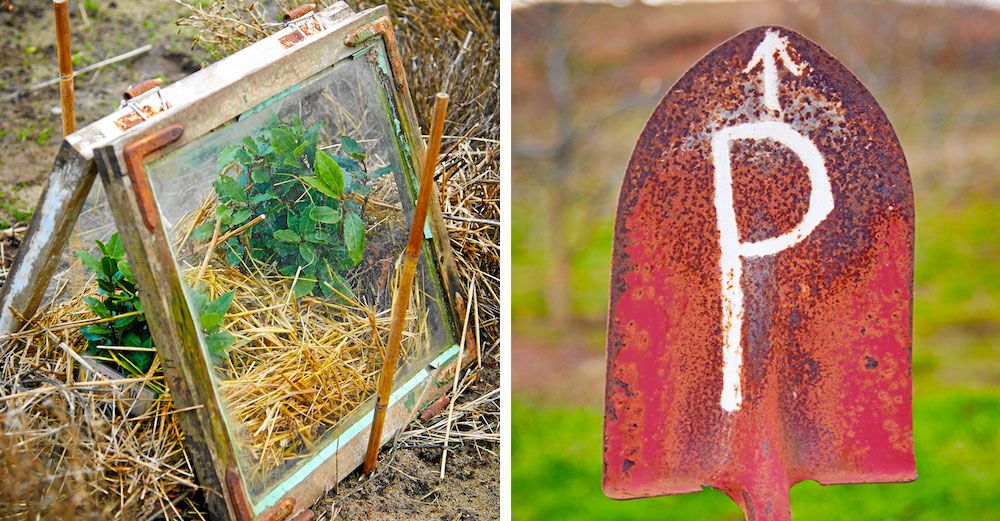 Smarta lösningar: ett gammalt fönster blir vindskydd åt lagerbladen och en rostig spade blir en skylt.