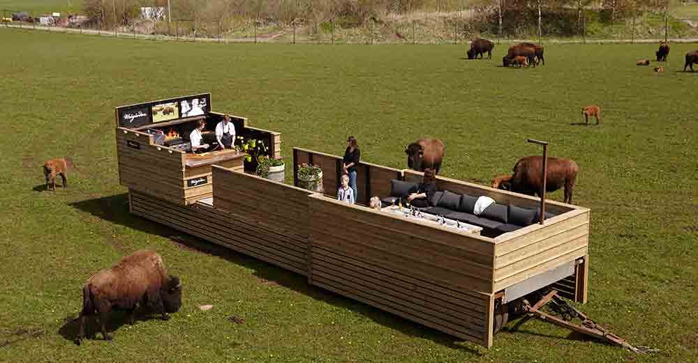 Ät middag bland bisonoxar på Wrågården. Foto: Anders Winlöf