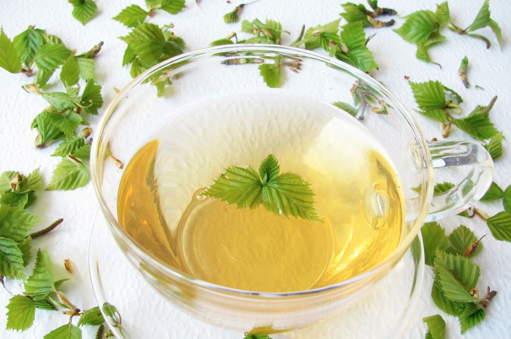 Tekopp i glas med björkte i.