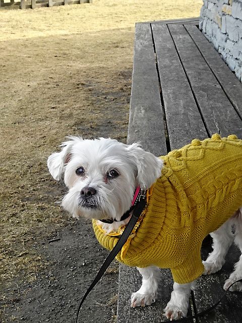 Vinnare 6: Lisa Hansen och Freddy Persson, Skultuna