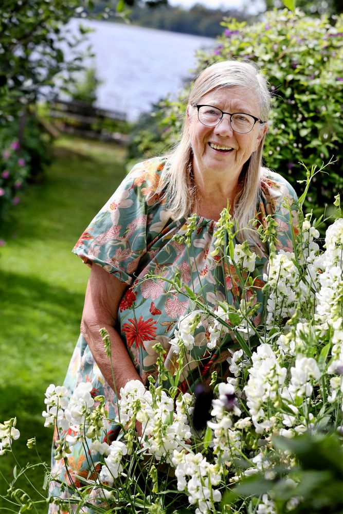 Lilian Karlsson vid sin vackra, vita rosenvial som såtts med frö från en vanlig rosa planta.
