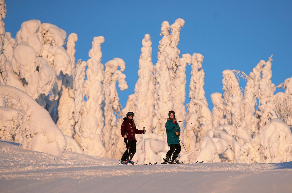 Skogen ser sagolik ut med träden kläddas i mjuk snö intill nedfarterna.
