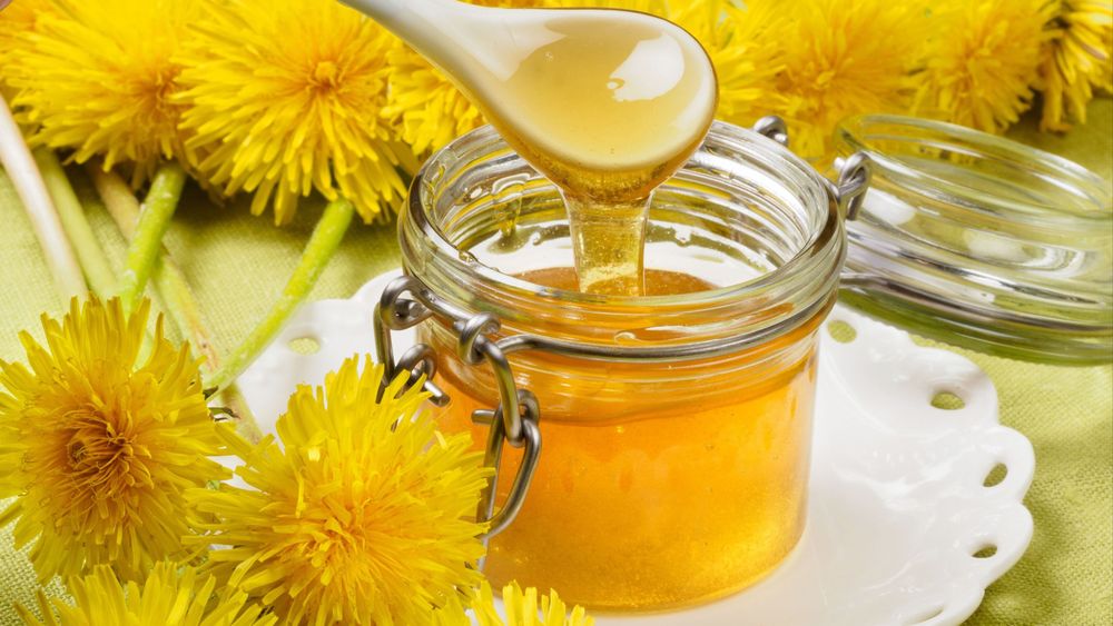 Maskrossirap – urgott solsken på burk