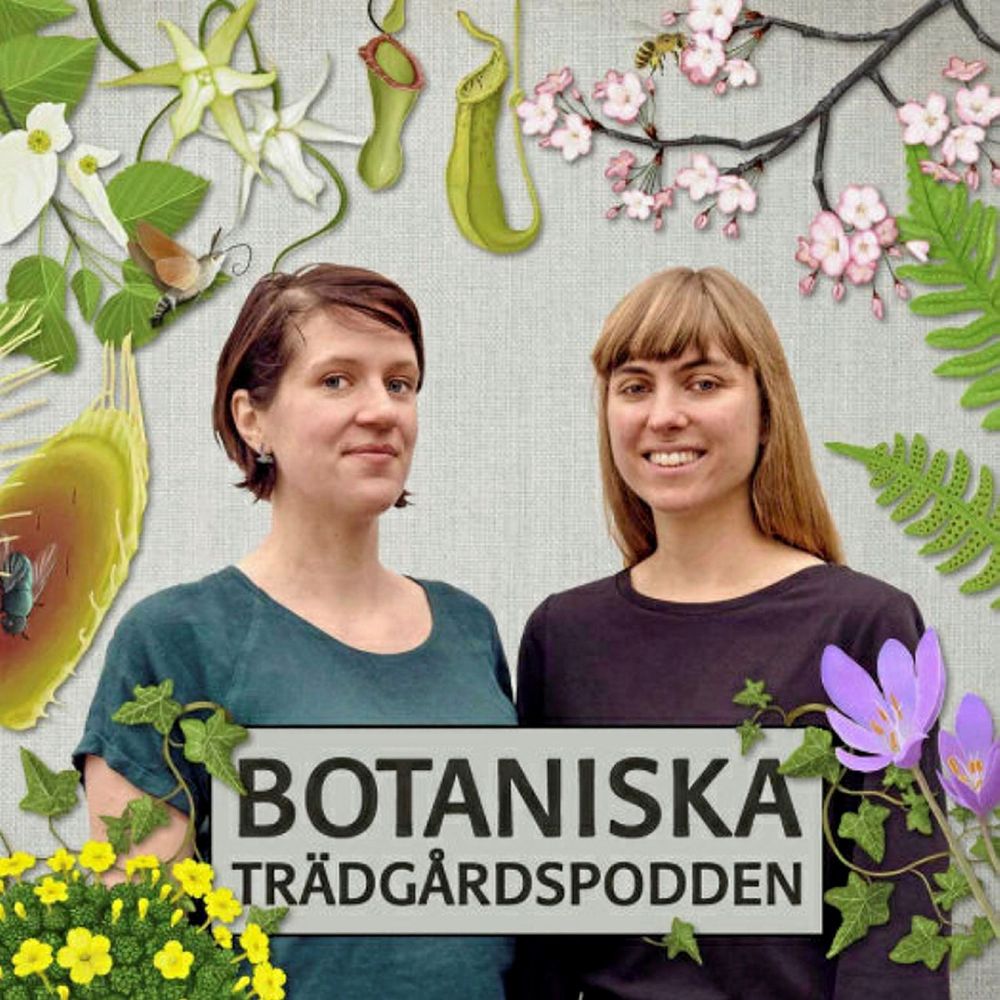 Stina Weststrand och Åsa Krüger bjuder på underbart växtnörderi i Botaniska Trädgårdspodden.