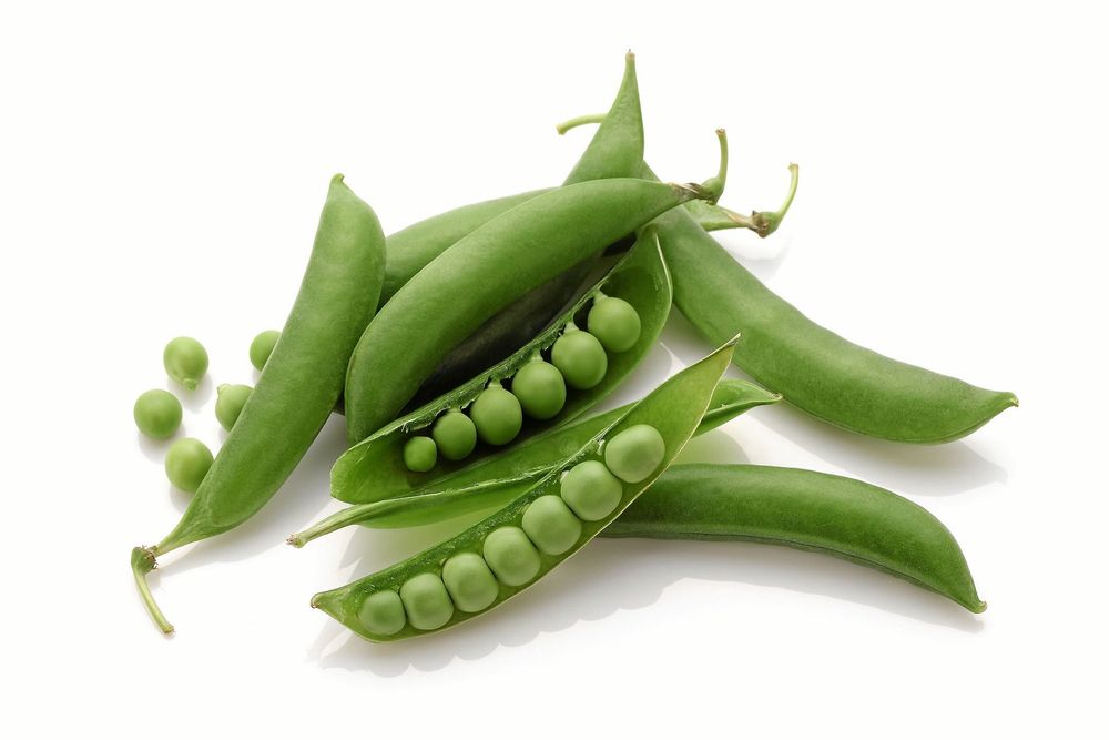 Organic Green Sugar Snap Peas Ready to Eat