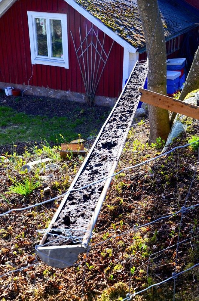 Rännan snuvar mördarsniglarna på sallad. Häng den en meter ovanför marken.