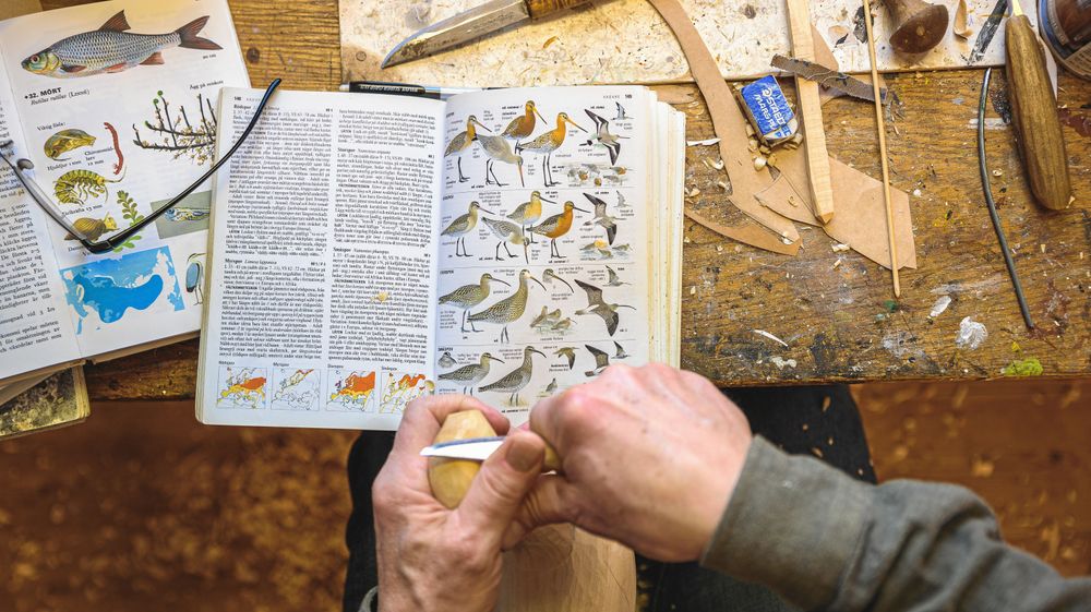 Även om Vesa är väldigt kunnig själv så är fågelböckerna en viktig hjälp för att få detaljerna rätt.