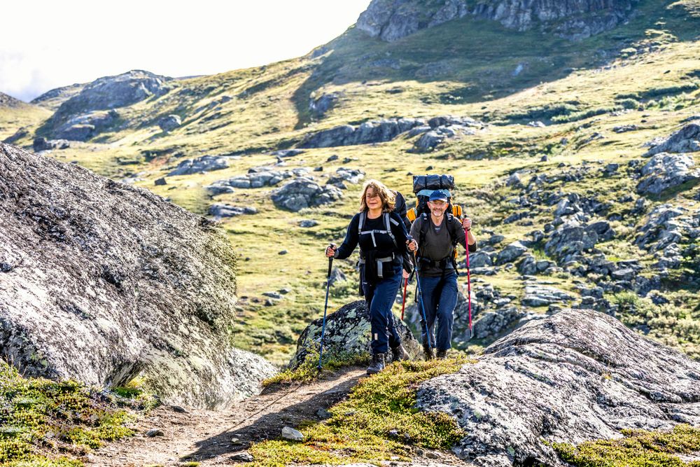 Runt Abisko finns det mängder av endagsturer eller vandringar att välja mellan.