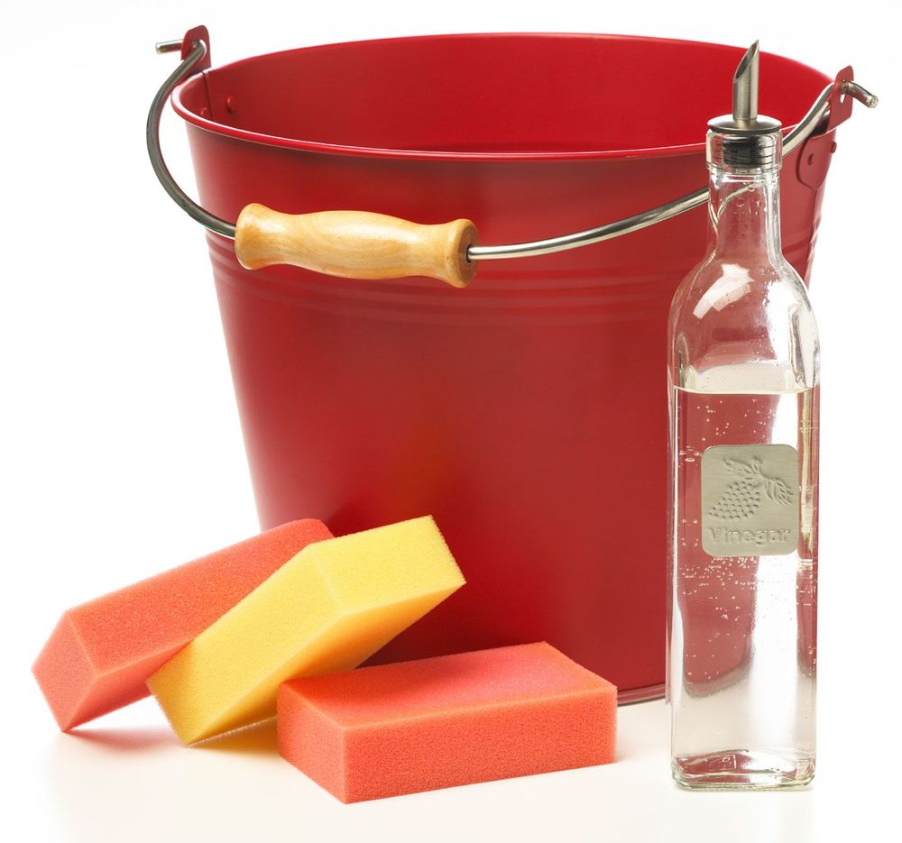 Foto: Istock
