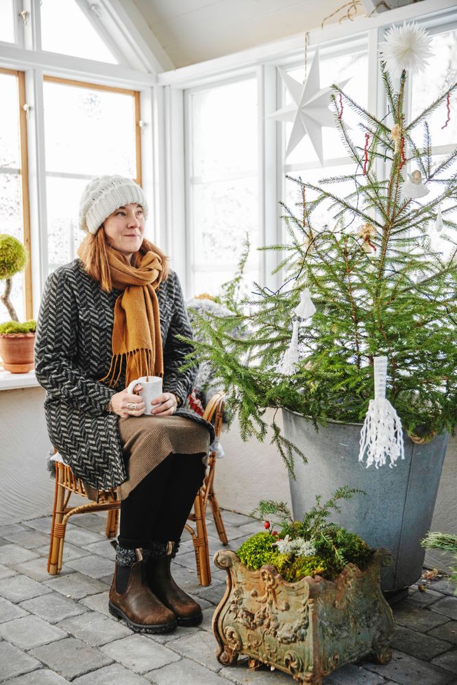 Det gäller att vara påpälsad i det kylslagna orangeriet, men granen trivs. Och en gjutjärnskamin är på väg.