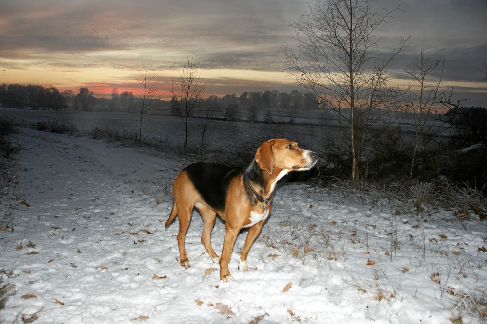 Vinnare 10: Iréne och Björn Bertilsson, Hästveda