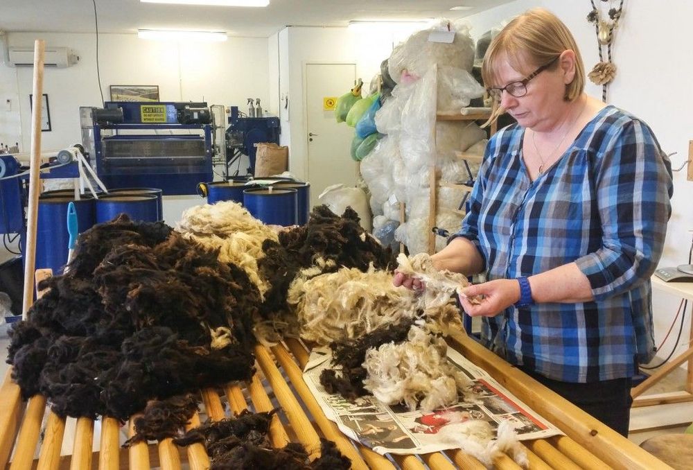 Kerstin Karlén sorterar ullen för hand.