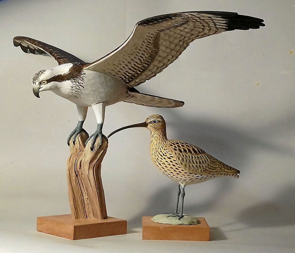 Två av Vesas skapelser - en flygklar fiskgjuse och en storspov.