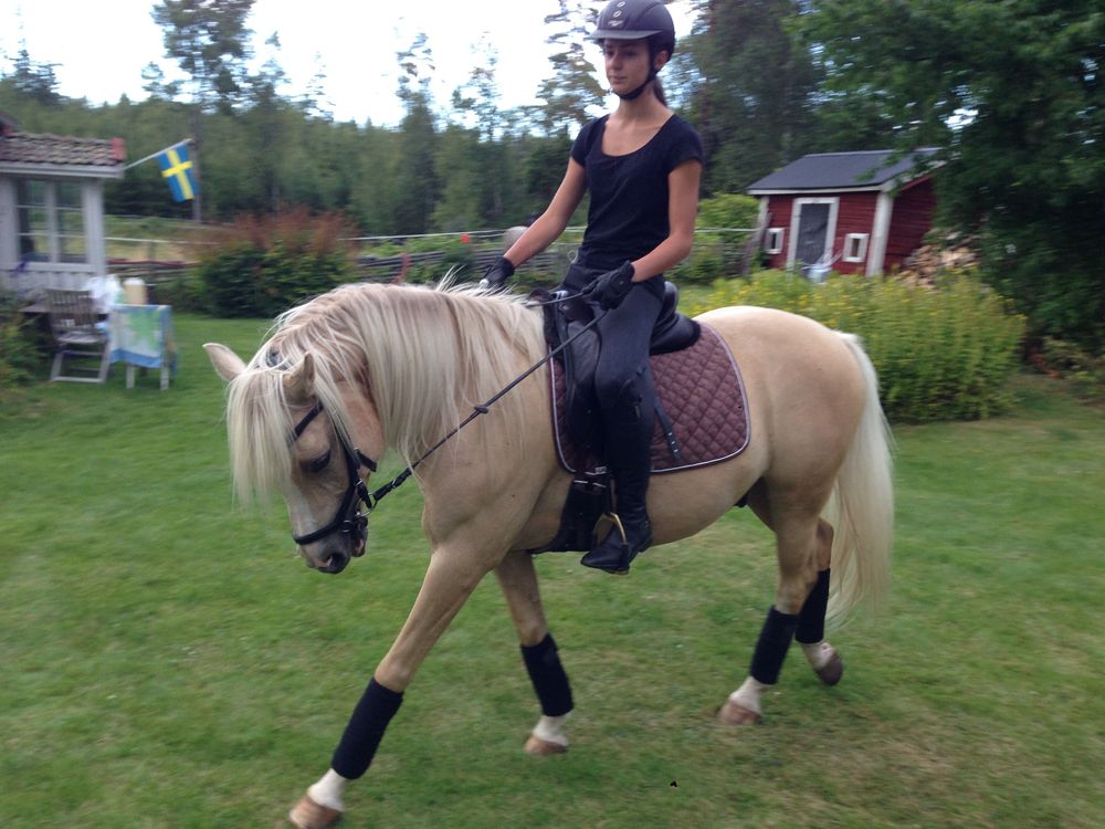 Maja rider dressyr vid pappa Petters torp.