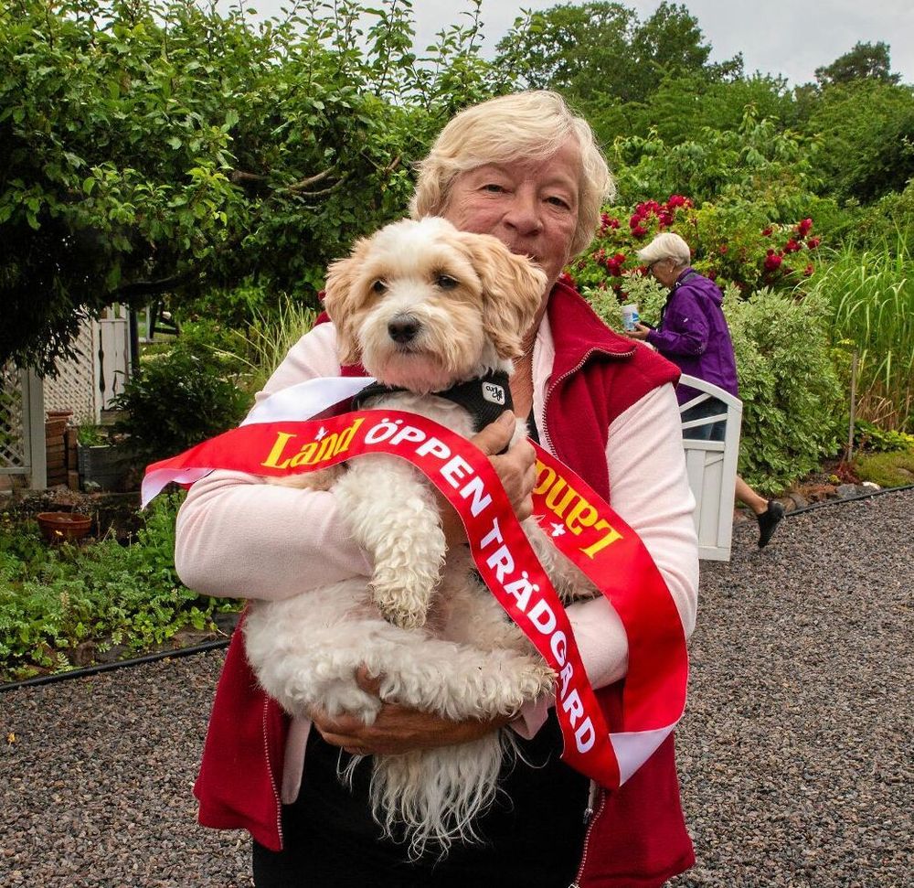 Mike – dagens ”visningshund”.