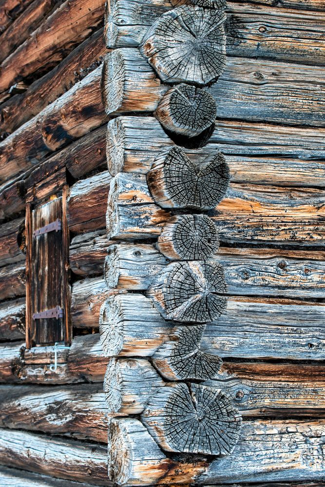 TIMRAT. Kurs i bygga hus med timrade knutar.