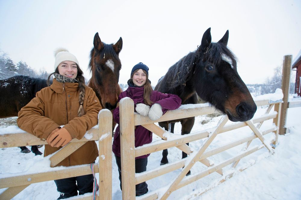 Rebecca och Nadjas hjärtan klappar inte bara för utförsåkning utan också för gårdens hästar.