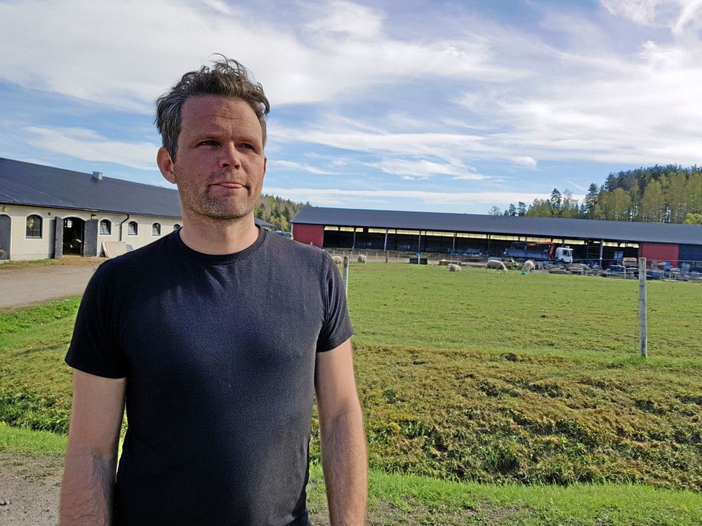 Johan Lundgren, fårägare på Molstaberg. Foto: Marianne Lindberg