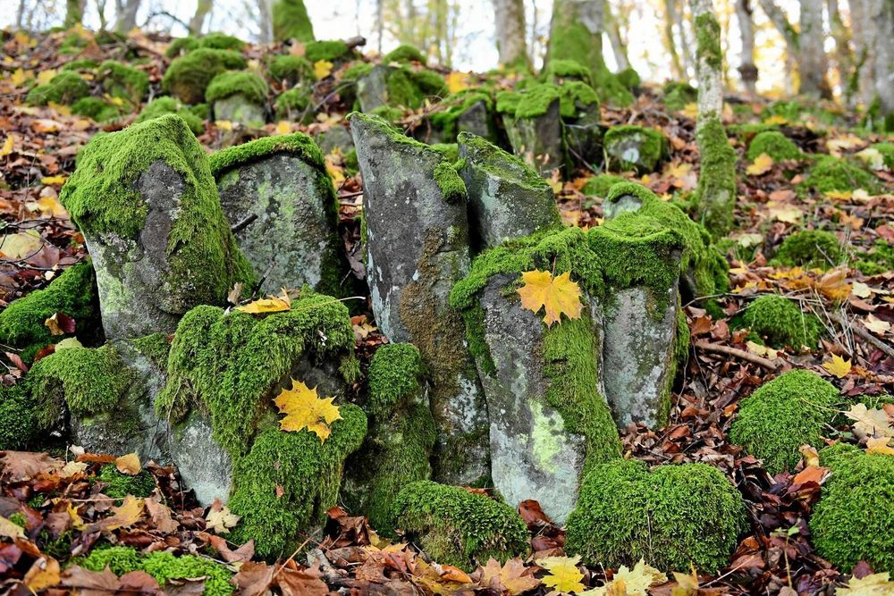 Så här kan spår av en gammal vulkan se ut.