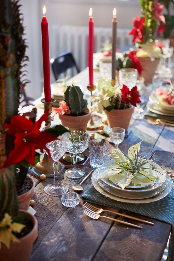 Foto: Blomsterfrämjandet
