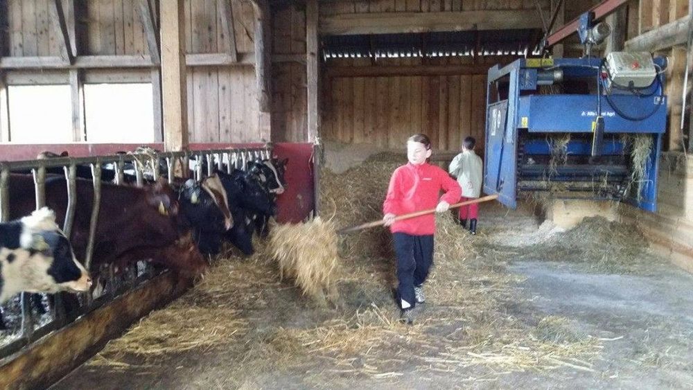 Janne får alltid sällskap i ladugården när barnen är hemma. Här får han hjälp av Alma och Alfred.